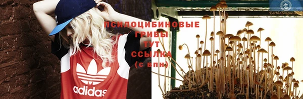 экстази Алексеевка