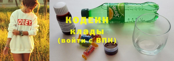 2c-b Алзамай
